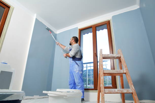 New Ulm, MN Drywall & Painting Services Company